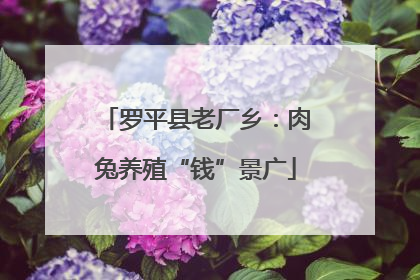 罗平县老厂乡：肉兔养殖“钱”景广