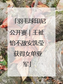 羽毛球印尼公开赛｜王祉怡不敌安洗莹 获得女单亚军