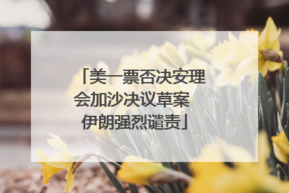 美一票否决安理会加沙决议草案 伊朗强烈谴责