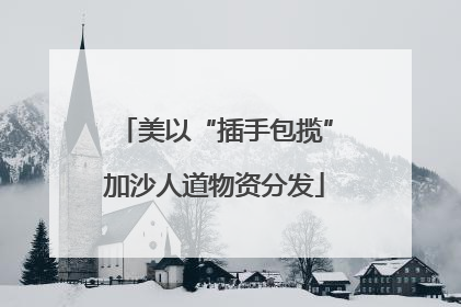 美以“插手包揽”加沙人道物资分发