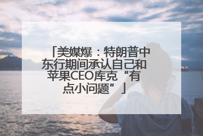 美媒爆：特朗普中东行期间承认自己和苹果CEO库克“有点小问题”
