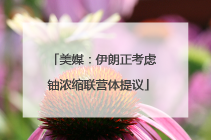 美媒：伊朗正考虑铀浓缩联营体提议