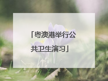粤澳港举行公共卫生演习