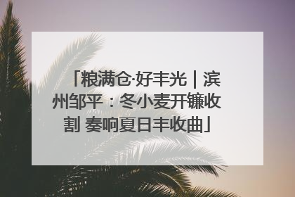 粮满仓·好丰光｜滨州邹平：冬小麦开镰收割 奏响夏日丰收曲