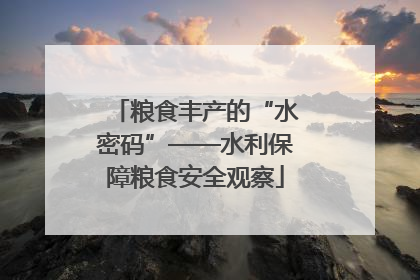 粮食丰产的“水密码”——水利保障粮食安全观察