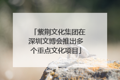 紫荆文化集团在深圳文博会推出多个重点文化项目