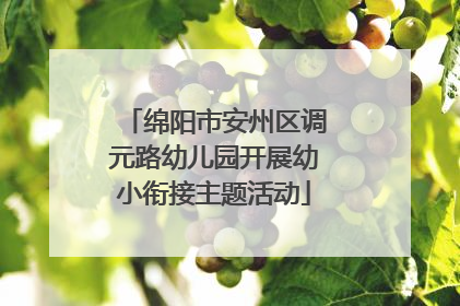 绵阳市安州区调元路幼儿园开展幼小衔接主题活动