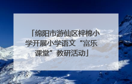 绵阳市游仙区梓棉小学开展小学语文“富乐课堂”教研活动