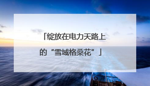 绽放在电力天路上的“雪域格桑花”