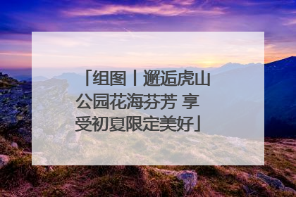 组图丨邂逅虎山公园花海芬芳 享受初夏限定美好