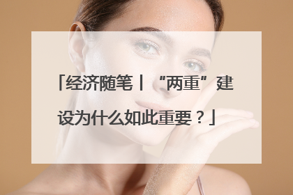 经济随笔丨“两重”建设为什么如此重要？