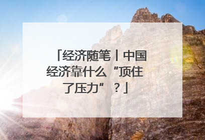 经济随笔丨中国经济靠什么“顶住了压力”？