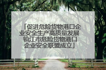 促进危险货物港口企业安全生产高质量发展 镇江市危险货物港口企业安全联盟成立