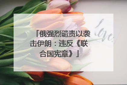 俄强烈谴责以袭击伊朗：违反《联合国宪章》