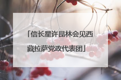 信长星许昆林会见西藏拉萨党政代表团