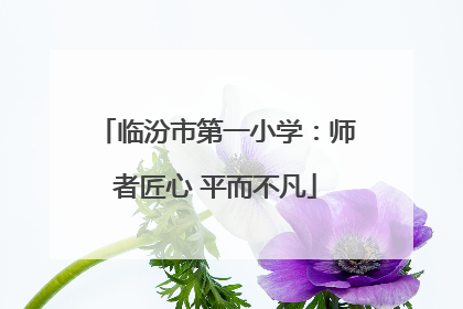 临汾市第一小学：师者匠心 平而不凡
