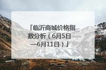 临沂商城价格指数分析（6月5日—6月11日）