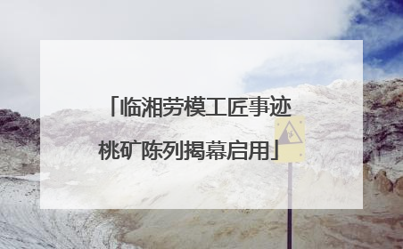 临湘劳模工匠事迹桃矿陈列揭幕启用