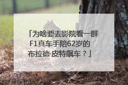为啥要去影院看一群F1真车手陪62岁的布拉德·皮特飙车？