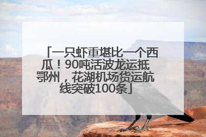 一只虾重堪比一个西瓜！90吨活波龙运抵鄂州，花湖机场货运航线突破100条