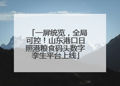 一屏统览，全局可控！山东港口日照港粮食码头数字孪生平台上线