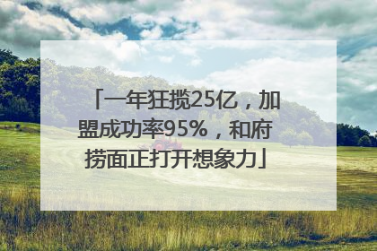 一年狂揽25亿，加盟成功率95%，和府捞面正打开想象力
