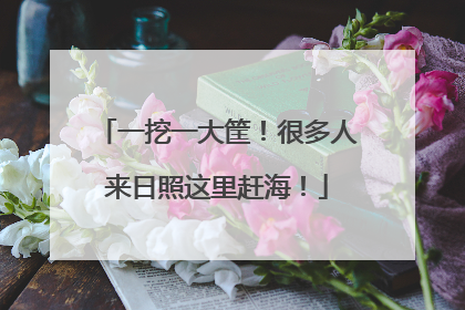 一挖一大筐！很多人来日照这里赶海！