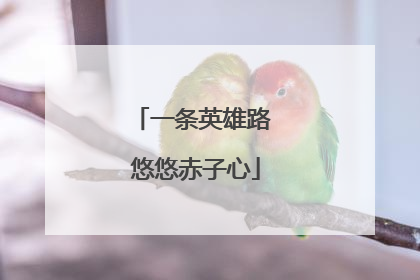 一条英雄路 悠悠赤子心