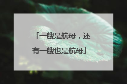 一艘是航母，还有一艘也是航母