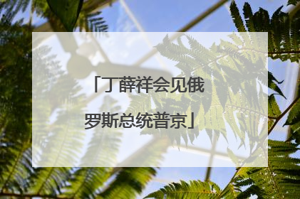 丁薛祥会见俄罗斯总统普京