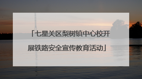 七星关区梨树镇中心校开展铁路安全宣传教育活动