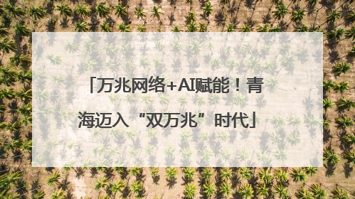 万兆网络+AI赋能！青海迈入“双万兆”时代