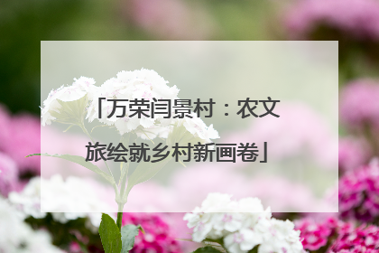 万荣闫景村：农文旅绘就乡村新画卷