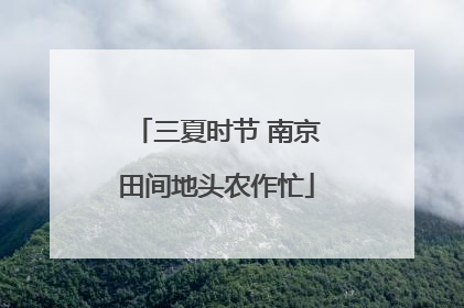 三夏时节 南京田间地头农作忙