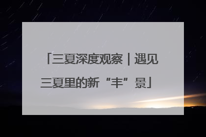 三夏深度观察｜遇见三夏里的新“丰”景