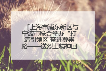 上海市浦东新区与宁波市联合举办“打造引领区 奋进尊崇路——送烈士精神回家乡”主题活动