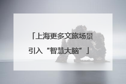 上海更多文旅场景引入“智慧大脑”