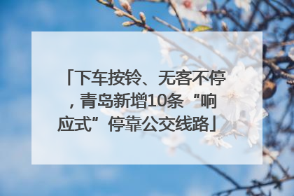 下车按铃、无客不停，青岛新增10条“响应式”停靠公交线路