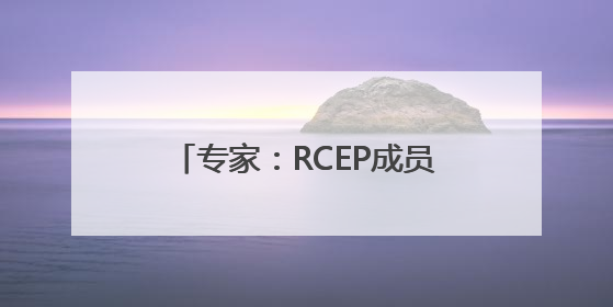 专家：RCEP成员国新能源汽车产业合作驶入共赢快车道