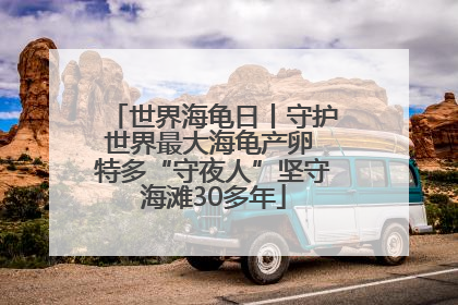 世界海龟日丨守护世界最大海龟产卵 特多“守夜人”坚守海滩30多年