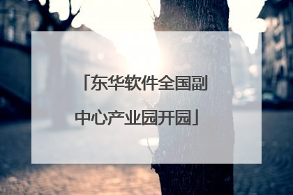 东华软件全国副中心产业园开园