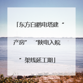 东方白鹳电塔建“产房” “陕电入皖”架线延工期