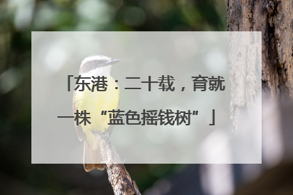 东港：二十载，育就一株“蓝色摇钱树”