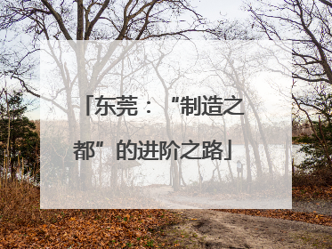 东莞：“制造之都”的进阶之路