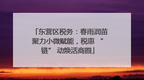 东营区税务：春雨润苗聚力小微赋能，税惠 “链” 动焕活商圈