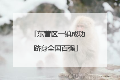 东营区一镇成功跻身全国百强
