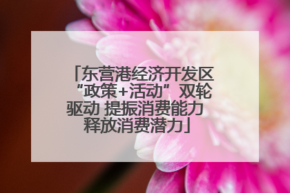 东营港经济开发区“政策+活动”双轮驱动 提振消费能力 释放消费潜力