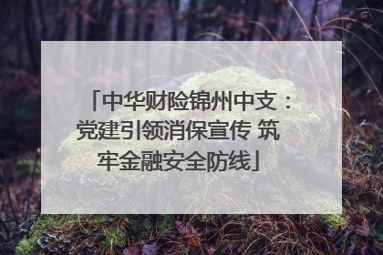 中华财险锦州中支：党建引领消保宣传 筑牢金融安全防线