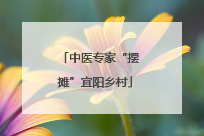 中医专家“摆摊”宜阳乡村