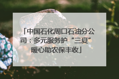 中国石化周口石油分公司：多元服务护“三夏” 暖心助农保丰收